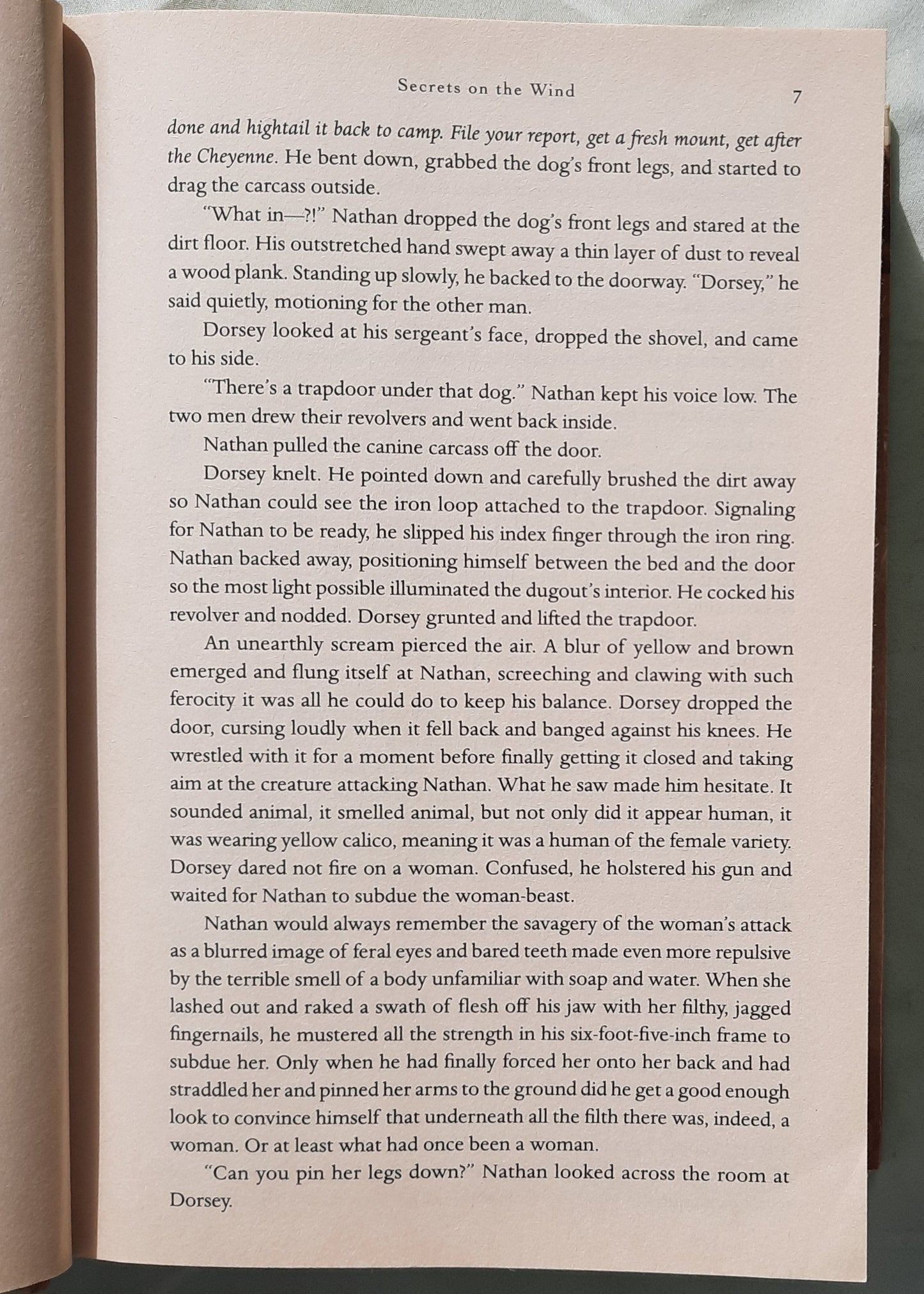 Secrets on the Wind by Stephanie Grace Whitson (Pine Ridge Portraits #1-3, Very good, 2008, HC, 704 pages, Bethany House)