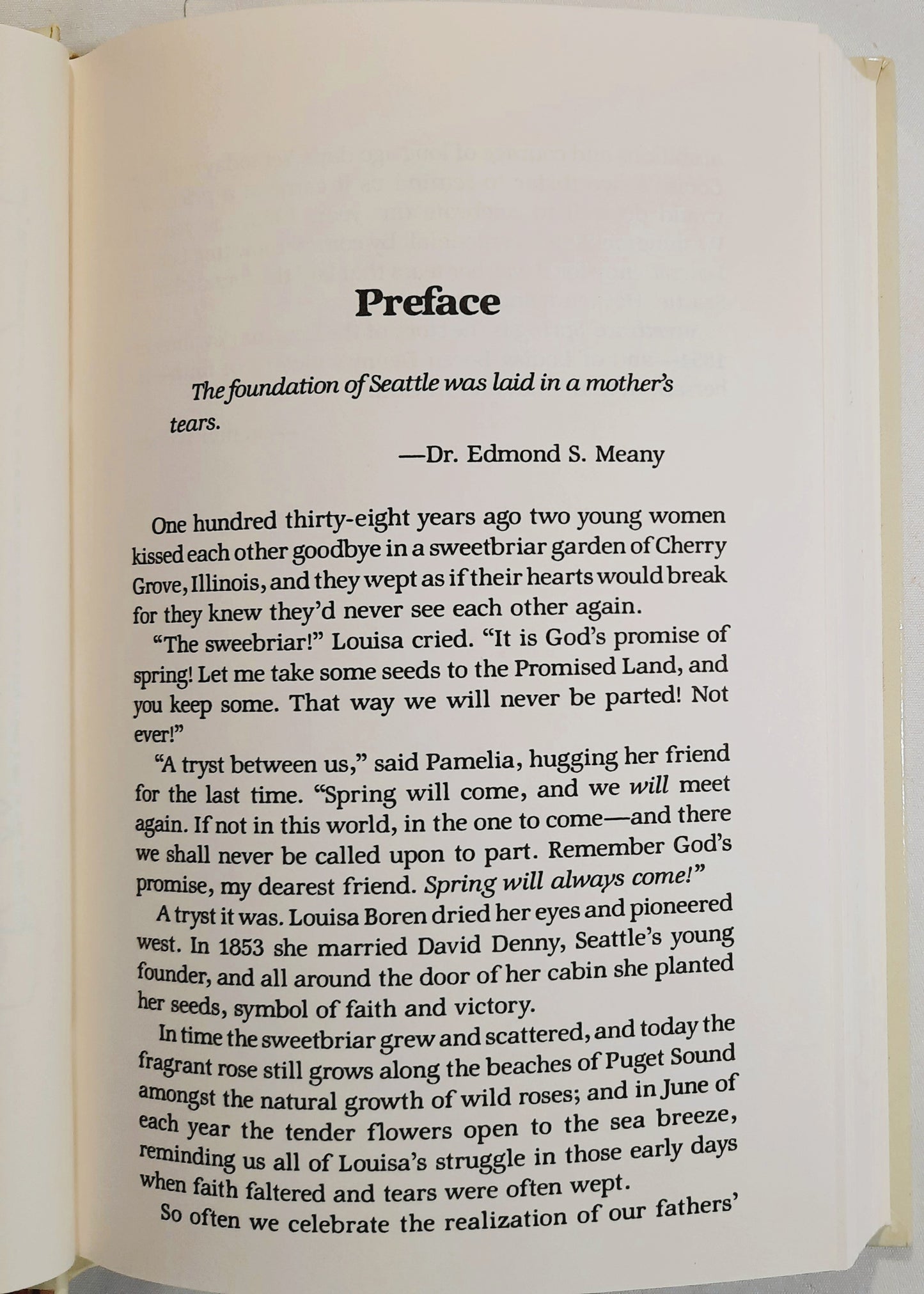 Sweet-Briar Spring by Brenda Wilbee (Seattle Sweetbriar #3, Very good, 1989, HC, 255 pages, Guideposts)