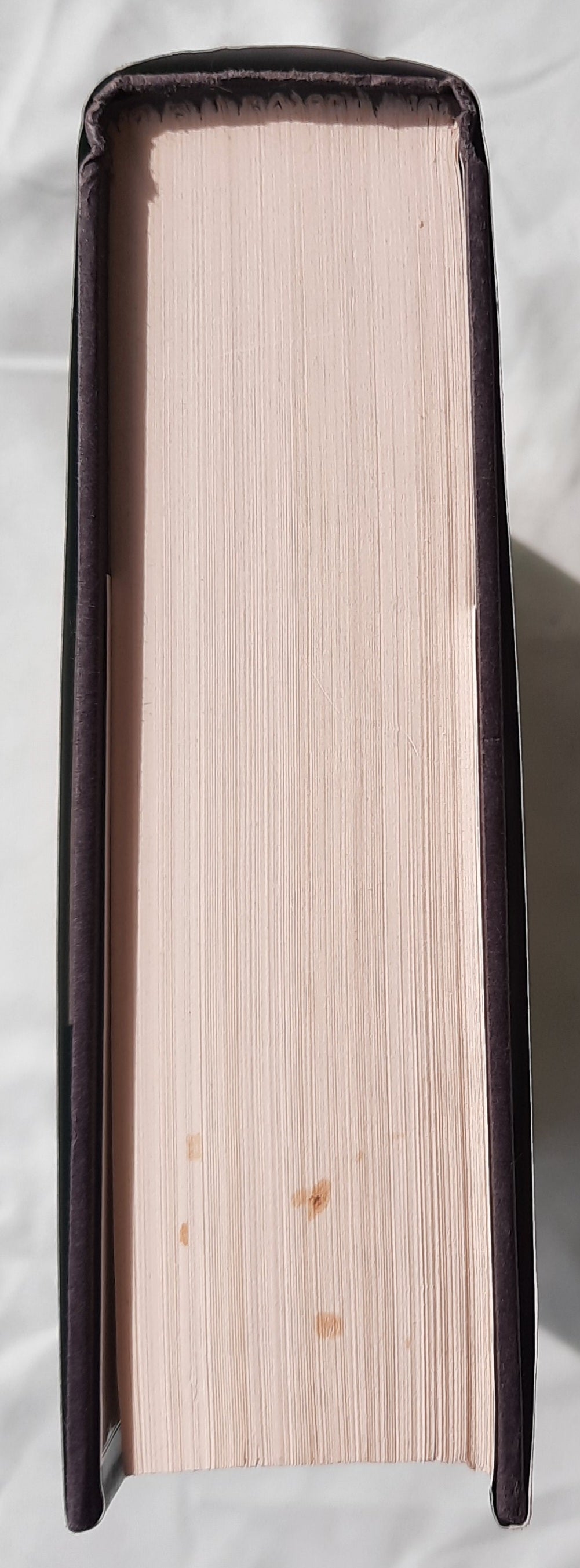 Good Hope Road by Lisa Wingate (Tending Roses #2, Very good, 2003, HC, 545 pages, Doubleday Large print)