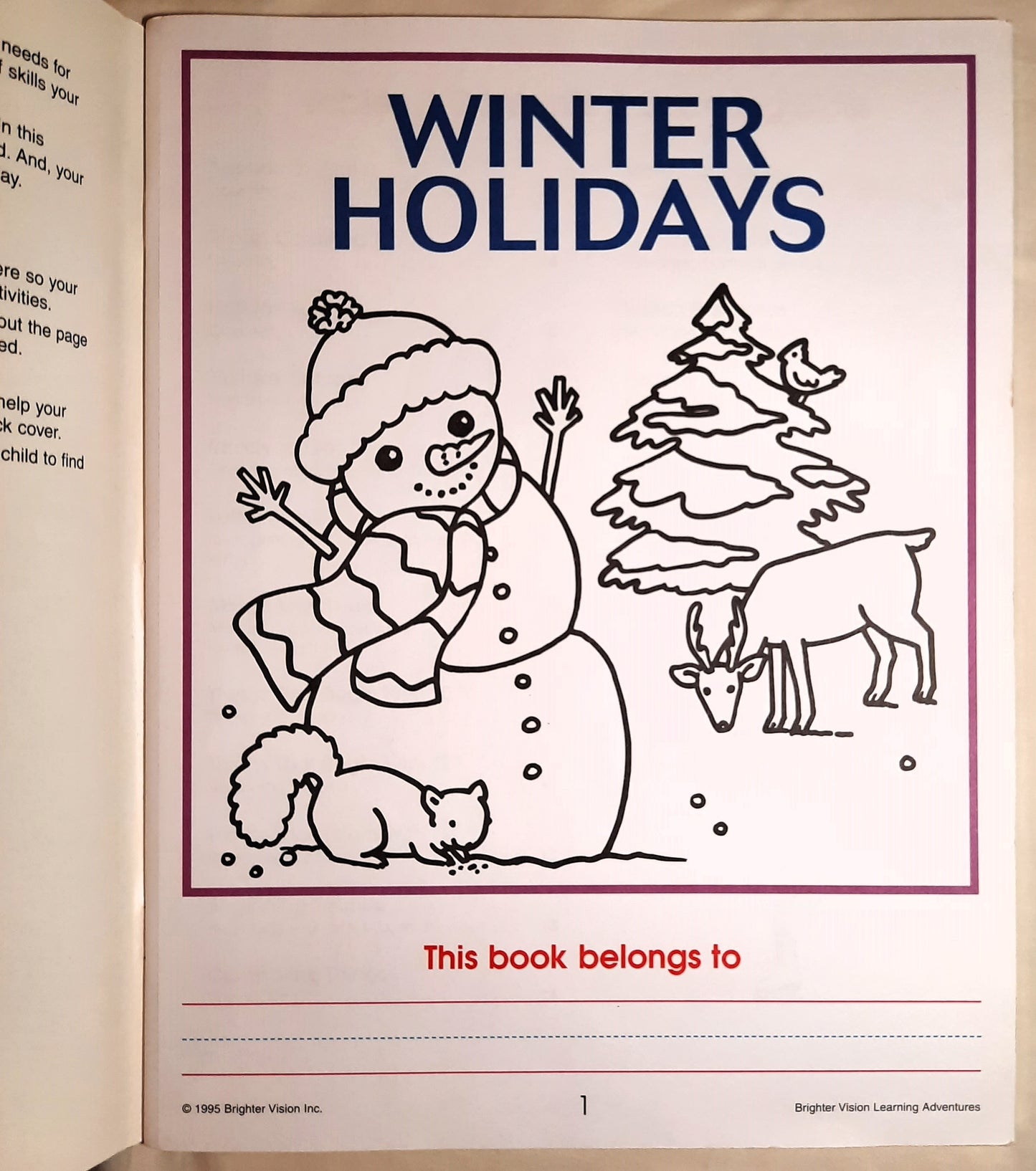 Winter Holidays by Catherine Hernandez (Very good, Brighter Vision, Pbk, 1995)