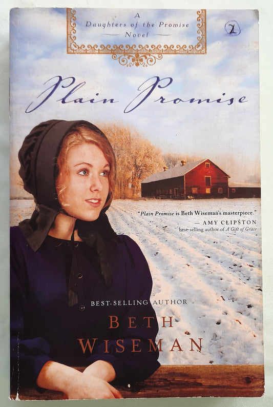 Plain Promise by Beth Wiseman (Daughters of the Promise #3, Good, 2009, Pbk, 336 pages, Thomas Nelson)