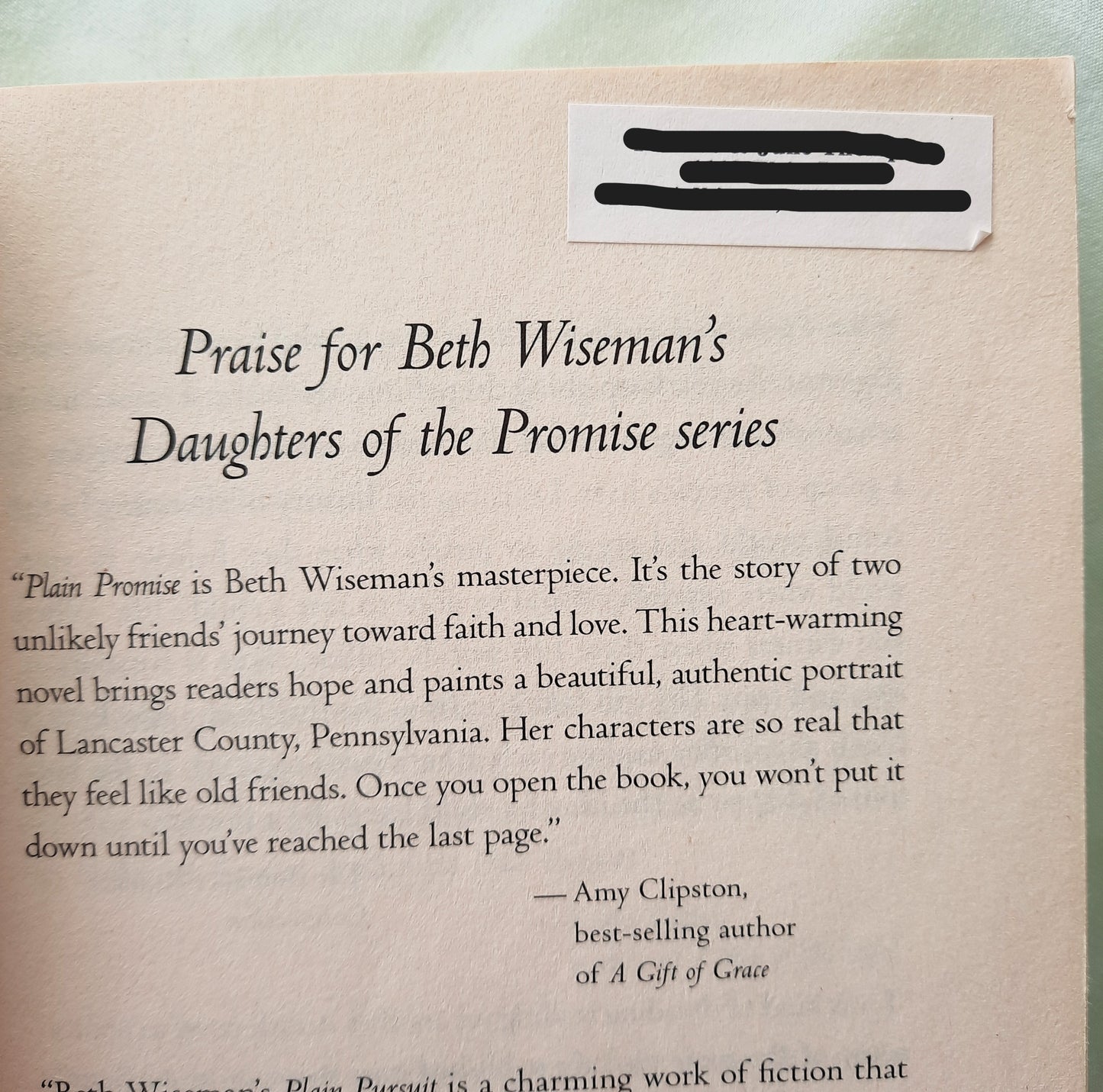 Plain Promise by Beth Wiseman (Daughters of the Promise #3, Good, 2009, Pbk, 336 pages, Thomas Nelson)