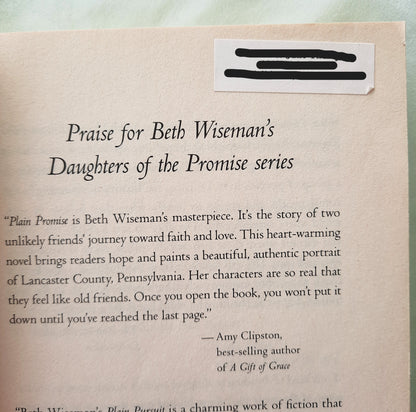 Plain Promise by Beth Wiseman (Daughters of the Promise #3, Good, 2009, Pbk, 336 pages, Thomas Nelson)