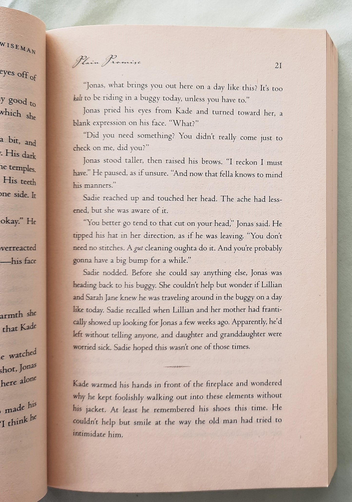 Plain Promise by Beth Wiseman (Daughters of the Promise #3, Good, 2009, Pbk, 336 pages, Thomas Nelson)