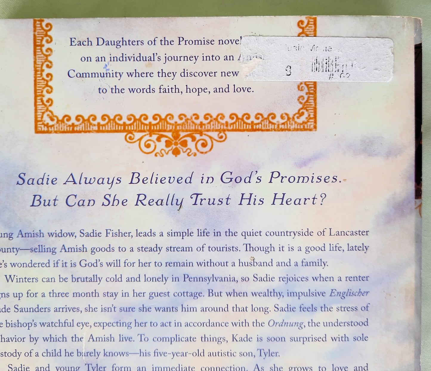 Plain Promise by Beth Wiseman (Daughters of the Promise #3, Good, 2009, Pbk, 336 pages, Thomas Nelson)