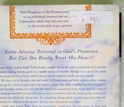 Plain Promise by Beth Wiseman (Daughters of the Promise #3, Good, 2009, Pbk, 336 pages, Thomas Nelson)