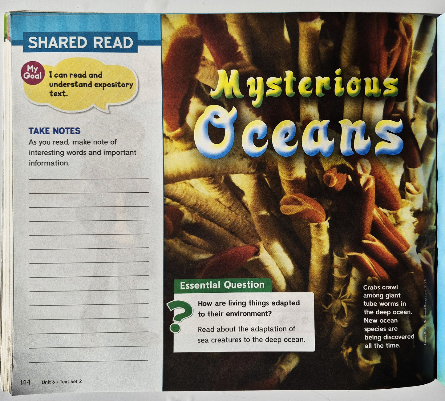 Wonders Grade 5 Reading/Writing Companion Units 5-6 McGraw-Hill, Gut, 2023, Pbk, 227 Seiten)