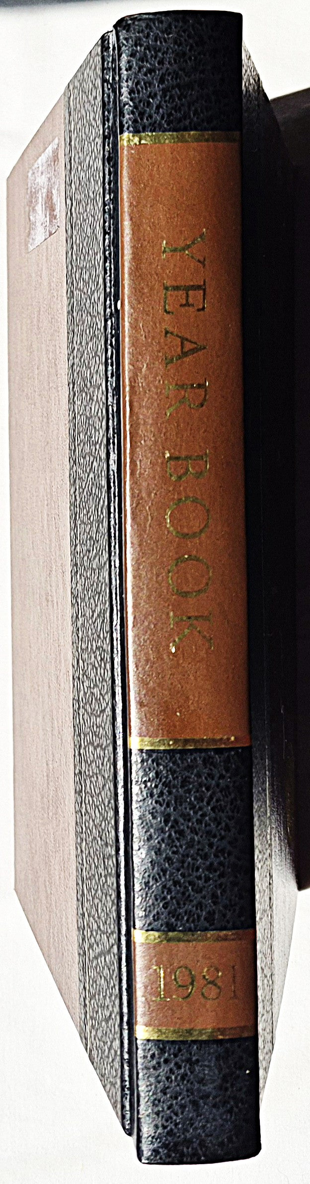 The 1981 World Book Year Book (Gut, 1981, HC, 608 Seiten, World Book-Childcraft)