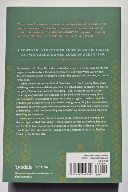 Come Down Somewhere by Jennifer L. Wright (New, 2022, Pbk, 399 pages, Tyndale House)