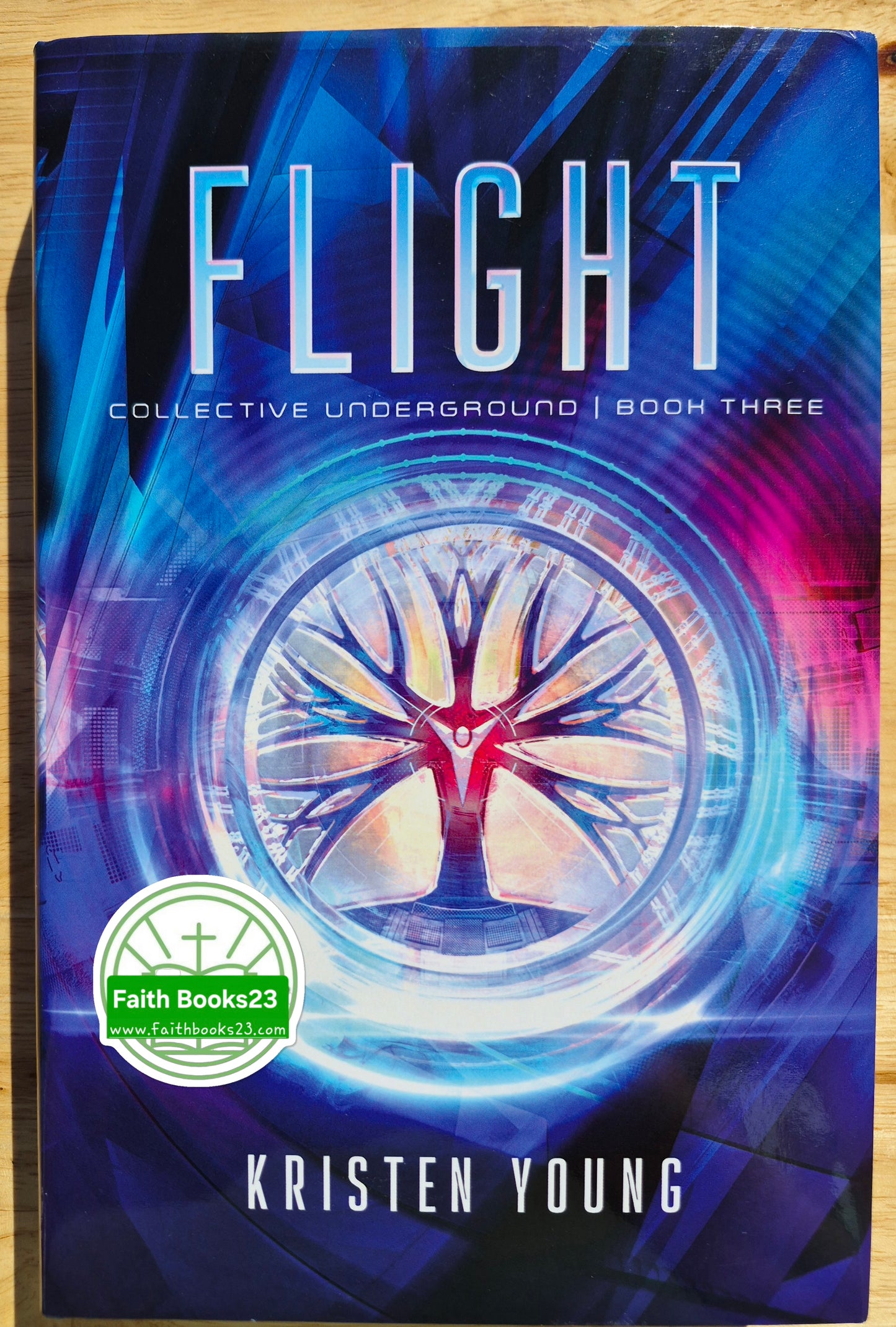 Flight von Kristen Young (Collective Underground #3, Neu, 2022, HC, 278 Seiten, Enclave Escape)