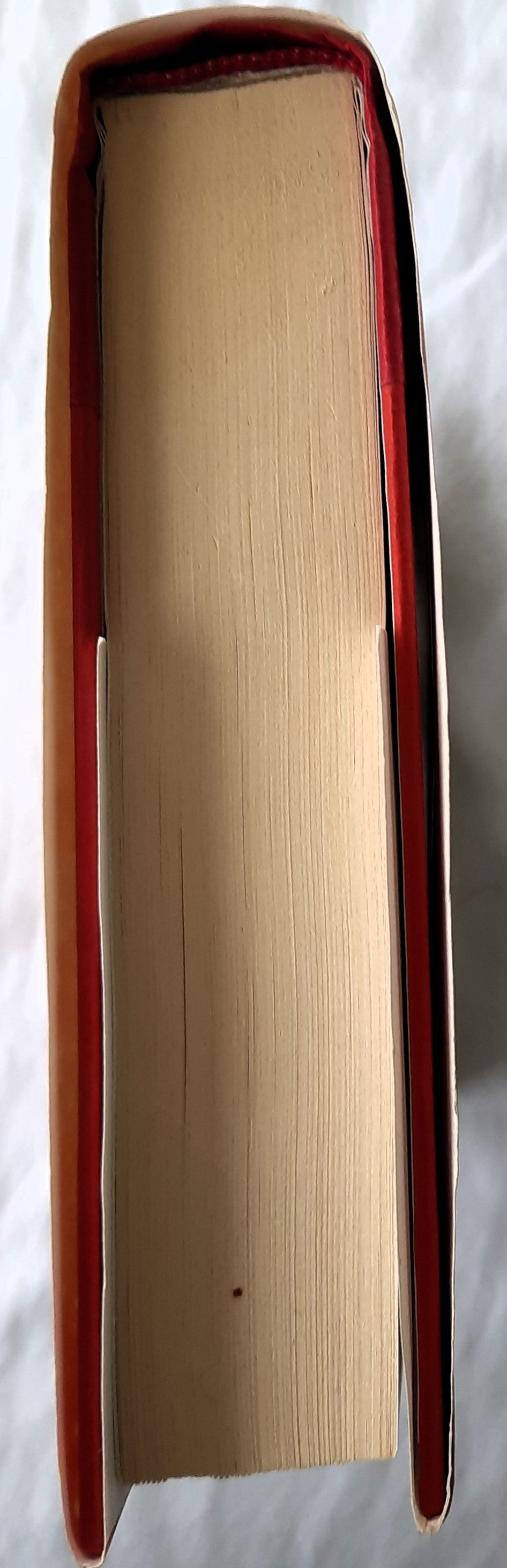 The Shimmering Road by Hester Young (Very good, 2017, HC, 402 pages, G.P. Putman's Sons)