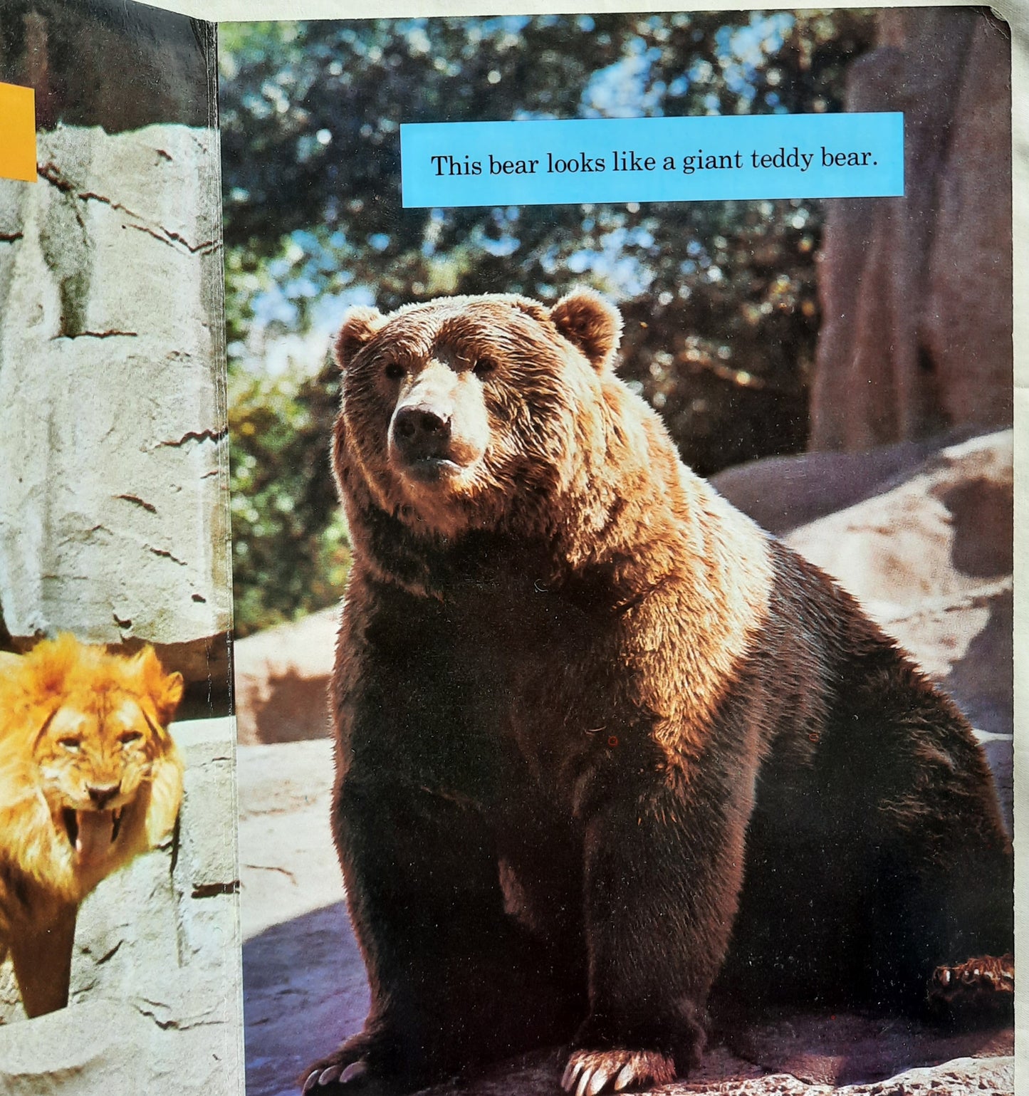 Zoo Animals by Golden Press (Board Book, 1985, Western Publishing Co., 14 pages)