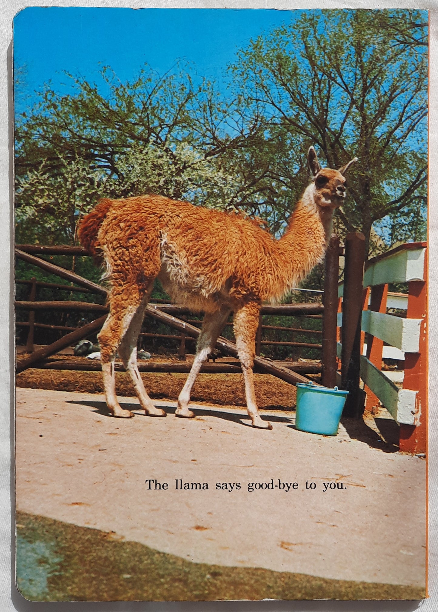 Zoo Animals by Golden Press (Board Book, 1985, Western Publishing Co., 14 pages)